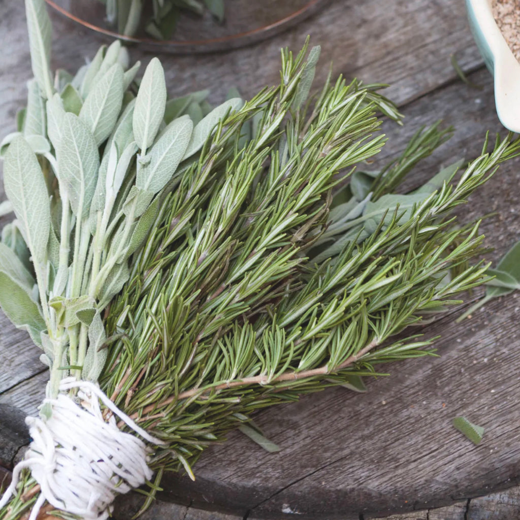 Choosing Between Fresh and Dried Herbs