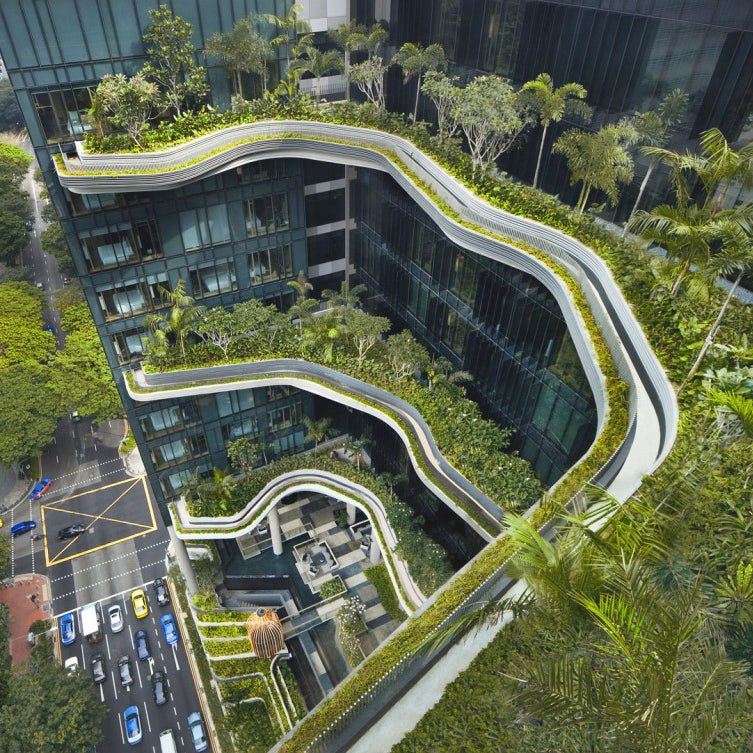 Biophilic Design: What it is and why it matters