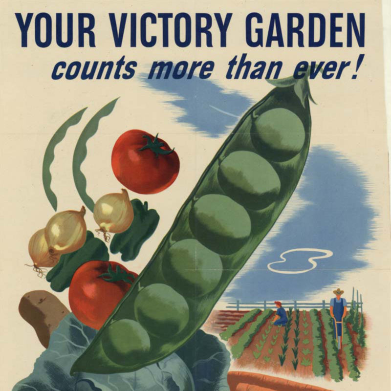 The History of Gardening: Victory Gardens Then and Now 