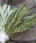 Choosing Between Fresh and Dried Herbs