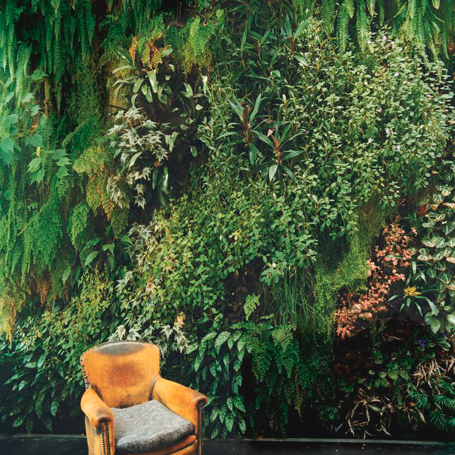 Wall Gardens: The Growing Trend