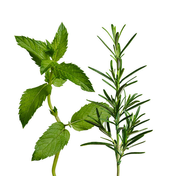 Cocktail Mix SeedPods