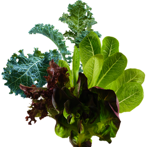 Salad Mix SeedPods