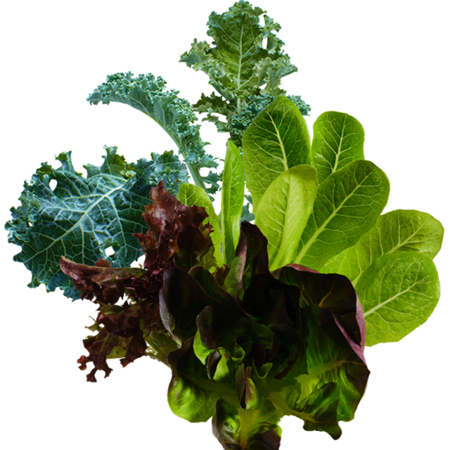 Salad Greens Mix SeedPods
