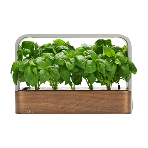 SmallGarden